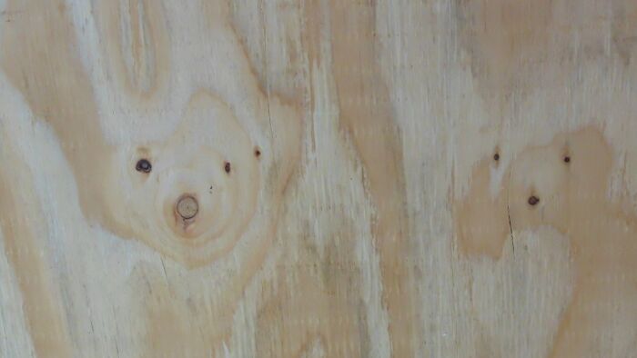 Plywood Polar Bears