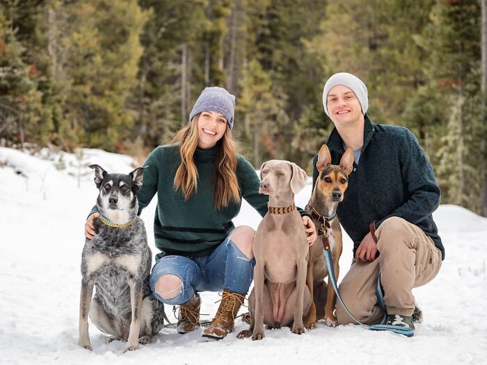 Couple in winter gear smiling with three dogs in a snowy forest setting. Couple in winter gear smiling with three dogs in a snowy forest setting.