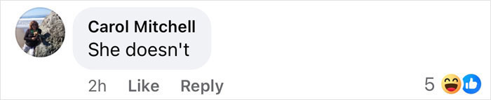 Facebook comment saying 'She doesn't' with five laughing reactions, related to Epstein Island discussion. Facebook comment saying 'She doesn't' with five laughing reactions, related to Epstein Island discussion.