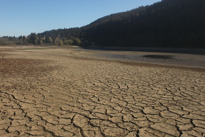 C*****d earth in a dry lake bed, illustrating a stunning natural phenomenon under clear skies and surrounded by forest.