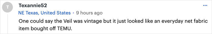 Online comment about Australian bride's wedding dress being compared to net fabric from TEMU. Online comment about Australian bride's wedding dress being compared to net fabric from TEMU.