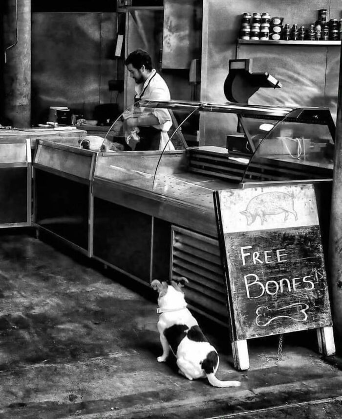 Dog waiting in front of a butcher shop with "Free Bones" sign, captured in a street photography scene.