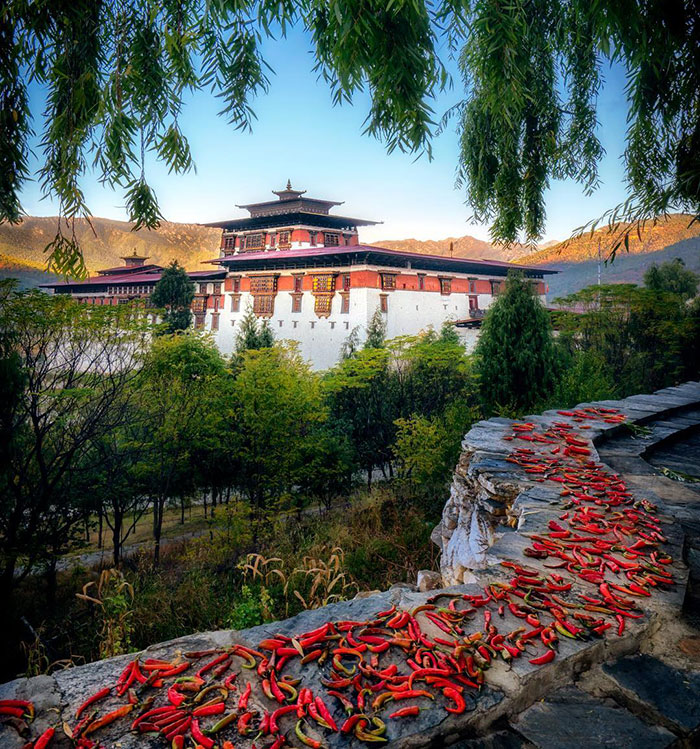 Ancient building in Bhutanese landscape with red peppers drying on a stone path, under a clear blue sky. Ancient building in Bhutanese landscape with red peppers drying on a stone path, under a clear blue sky.