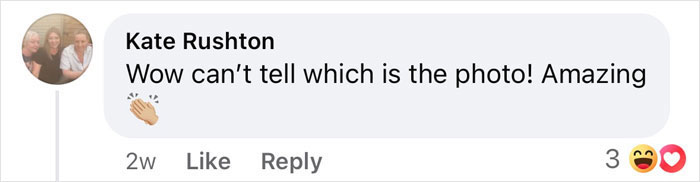 Comment praising a viral painting of a man's wife with clapping emoji. Comment praising a viral painting of a man's wife with clapping emoji.