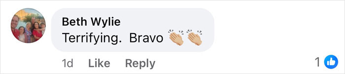 Comment praising a viral painting by man of his wife, calling it terrifying with clapping emojis. Comment praising a viral painting by man of his wife, calling it terrifying with clapping emojis.