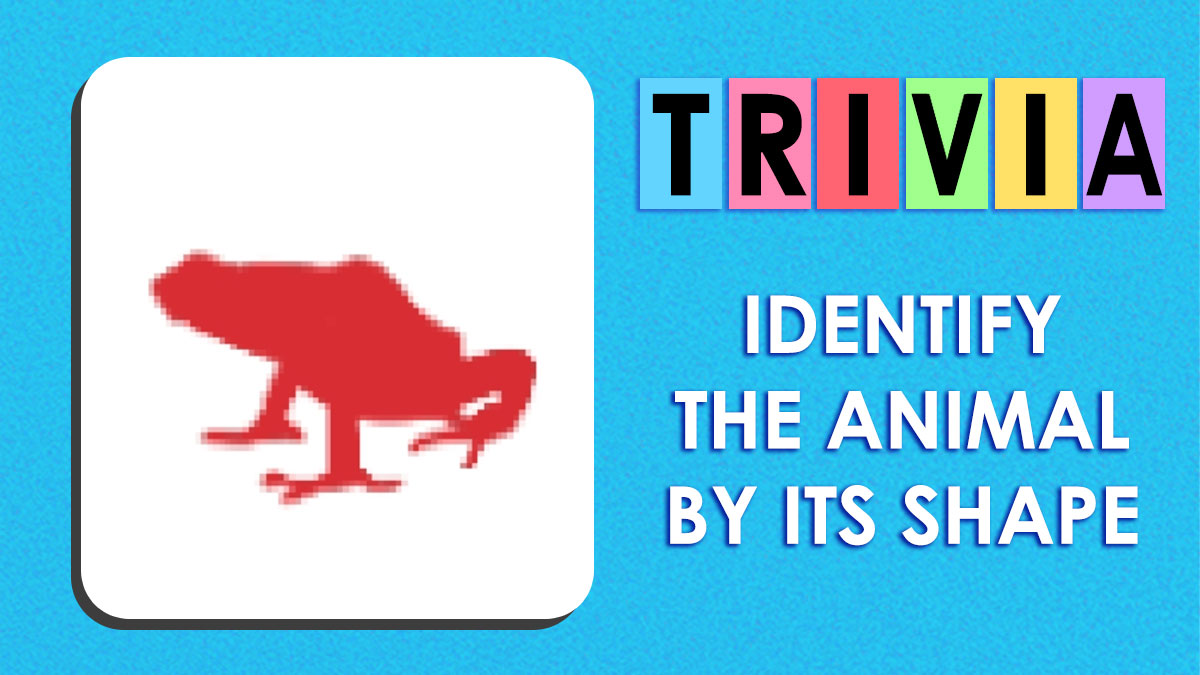 “Can You Really Tell A Fox From A Dog?”: Prove You’re Not Clueless About Animals