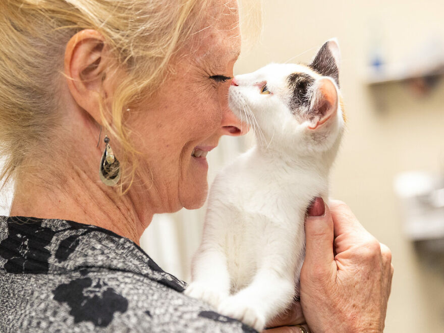 Carolynn Chittim: A Friend To Felines In Life & Death Carolynn Chittim: A Friend To Felines In Life & Death
