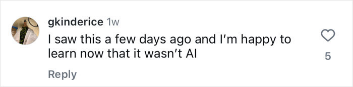 Comment on social media discussing a viral Antarctic ballerina performance. Comment on social media discussing a viral Antarctic ballerina performance.