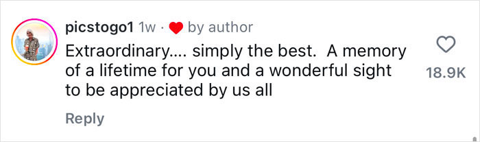 Comment praising a viral ballerina dancing on a ship’s bow in Antarctica waters. Comment praising a viral ballerina dancing on a ship’s bow in Antarctica waters.