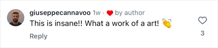 Comment praising viral ballerina dancing on a ship, described as "insane" and "a work of art" with applause emoji. Comment praising viral ballerina dancing on a ship, described as "insane" and "a work of art" with applause emoji.