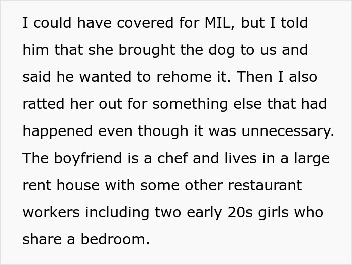 MIL Tries To Get Rid Of BF’s Dog By “Rehoming” It, Gets Kicked To The Curb When Truth Comes Out MIL Tries To Get Rid Of BF’s Dog By “Rehoming” It, Gets Kicked To The Curb When Truth Comes Out