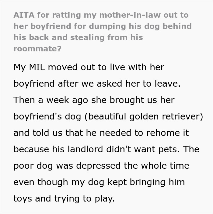 MIL Tries To Get Rid Of BF’s Dog By “Rehoming” It, Gets Kicked To The Curb When Truth Comes Out MIL Tries To Get Rid Of BF’s Dog By “Rehoming” It, Gets Kicked To The Curb When Truth Comes Out