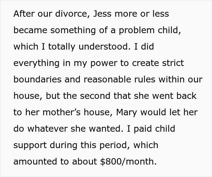 Text describing parental challenges and financial responsibilities after a divorce. Text describing parental challenges and financial responsibilities after a divorce.