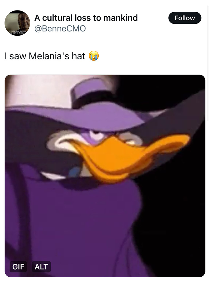 Cartoon duck in a purple hat, used to humorously compare to Melania Trump's inauguration outfit. Cartoon duck in a purple hat, used to humorously compare to Melania Trump's inauguration outfit.