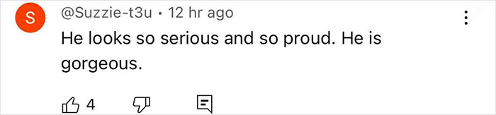 Heidi Klum's son Henry on the runway at Paris Fashion Week, wearing a serious and proud expression. Heidi Klum's son Henry on the runway at Paris Fashion Week, wearing a serious and proud expression.