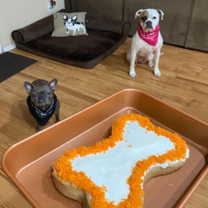 22 Paw-fect Gifts For Pets And Their Obsessed Humans