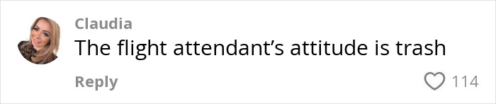 Comment on American Airlines flight attendant's attitude, expressing dissatisfaction. Comment on American Airlines flight attendant's attitude, expressing dissatisfaction.