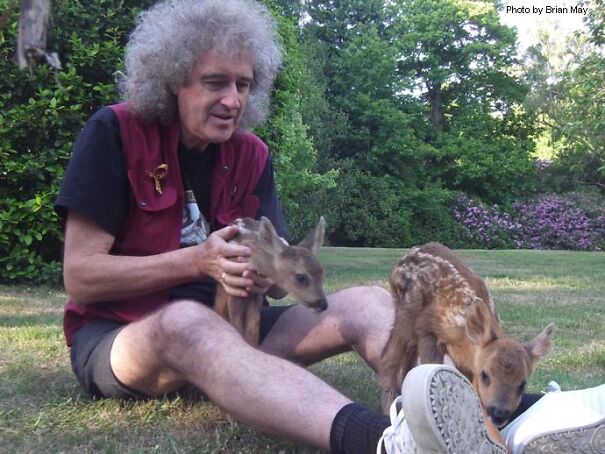 brian-may-with-animals_brianmay-com_.jpg