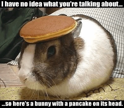 bunny-pancake-6784c9f7436ed.jpg