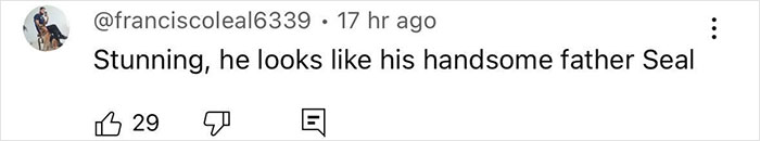 Comment on Heidi Klum's son's appearance, mentioning his father Seal, from social media. Comment on Heidi Klum's son's appearance, mentioning his father Seal, from social media.