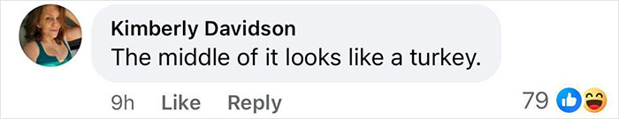 Comment about a dress resembling a turkey, with two emoji reactions. Comment about a dress resembling a turkey, with two emoji reactions.