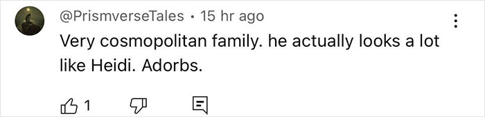 Comment mentioning Heidi Klum's resemblance in her son, described as cosmopolitan and adorable. Comment mentioning Heidi Klum's resemblance in her son, described as cosmopolitan and adorable.
