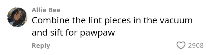 Comment suggesting to "combine lint pieces in vacuum and sift for pawpaw," related to dirt incident. Comment suggesting to "combine lint pieces in vacuum and sift for pawpaw," related to dirt incident.