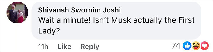 Comment humorously questioning the First Lady's identity related to Melania Trump's portrait. Comment humorously questioning the First Lady's identity related to Melania Trump's portrait.