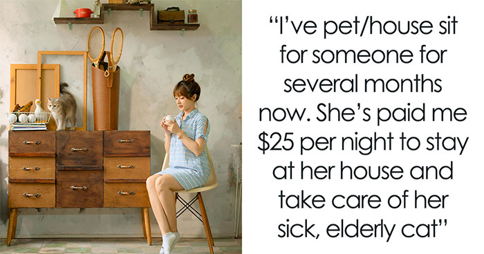 Cat Sitter Decides To Raise Her Rates Over Client’s Growing Demands, But Takes Heat And Gets Sacked