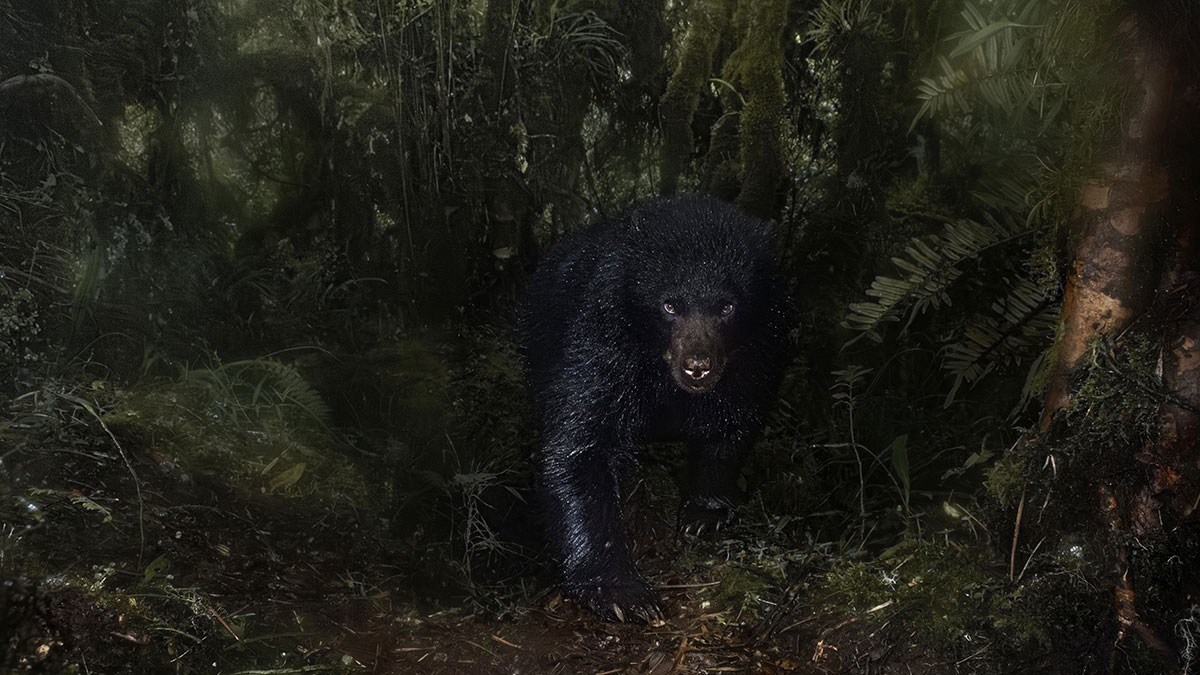 33 Award-Winning Close-Up Shots From The CUPOTY 2024