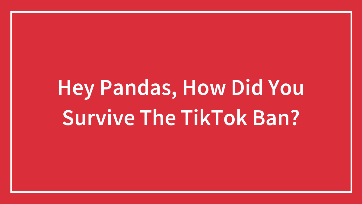 Hey Pandas, How Did You Survive The TikTok Ban? (Closed)