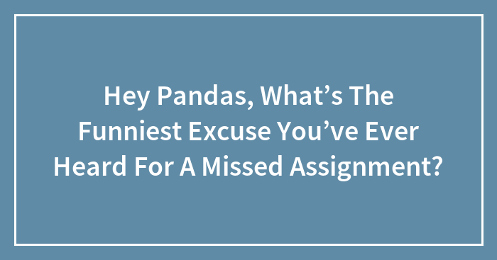 Hey Pandas, What’s The Funniest Excuse You’ve Ever Heard For A Missed Assignment?