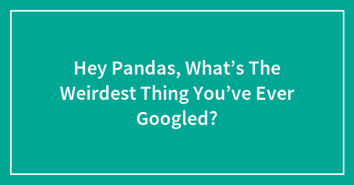Hey Pandas, What’s The Weirdest Thing You’ve Ever Googled? (Closed)