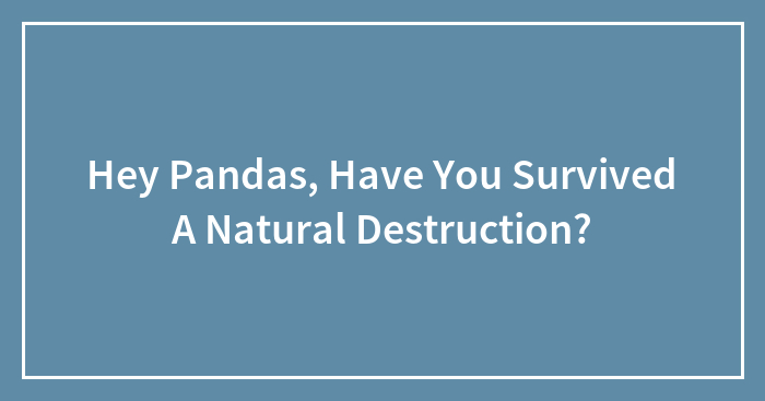 Hey Pandas, Have You Survived A Natural Destruction? (Closed)