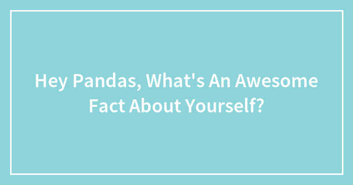 Hey Pandas, What’s An Awesome Fact About Yourself? (Closed)