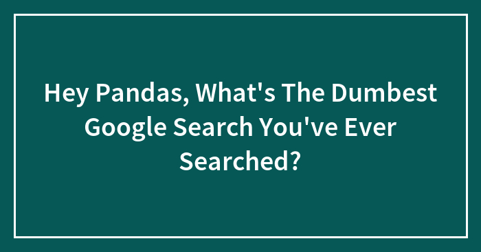 Hey Pandas, What’s The Dumbest Google Search You’ve Ever Searched? (Closed)