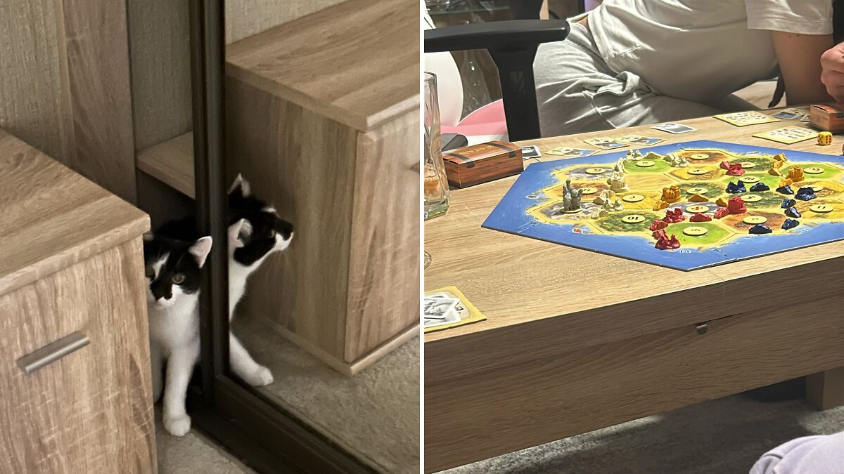 Hey Pandas, Share A Photo You Took To Kick Off 2025 (Closed)