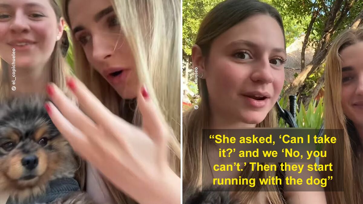 Pet Owner Accuses Tourists Of Snatching Her Adorable Puppy Before Trying To Flee