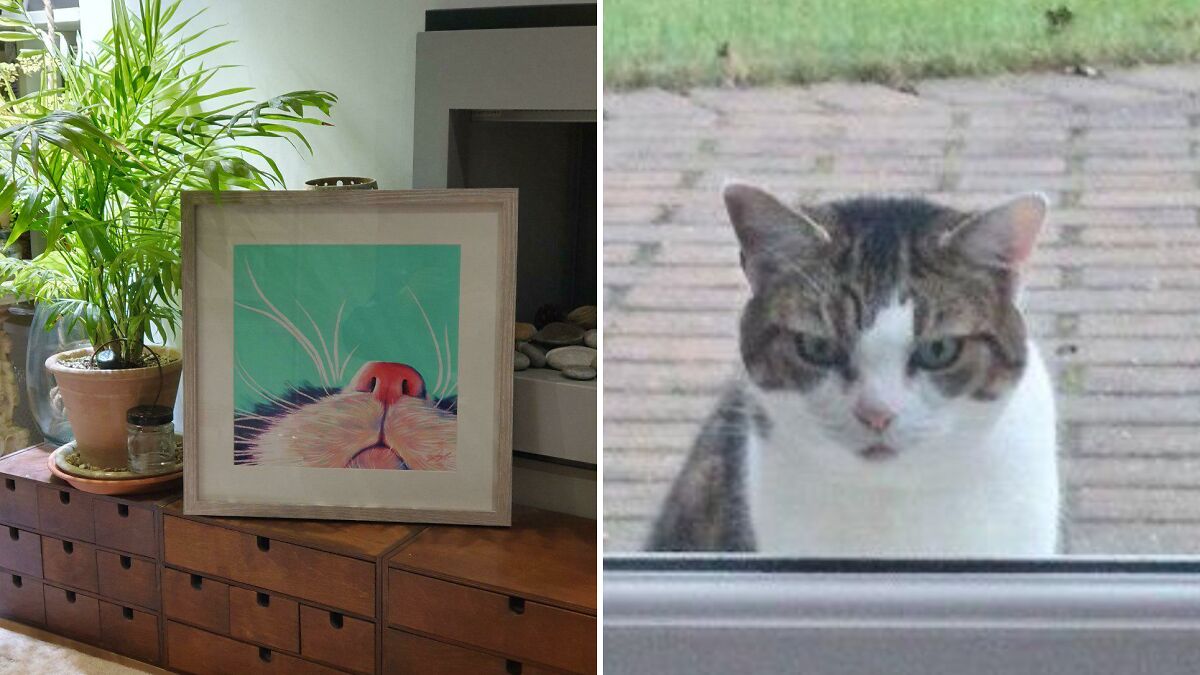 Artist Creates “Boop” Painting Of A Cat’s Nose And Finds The Cat’s Owner By Pure Chance