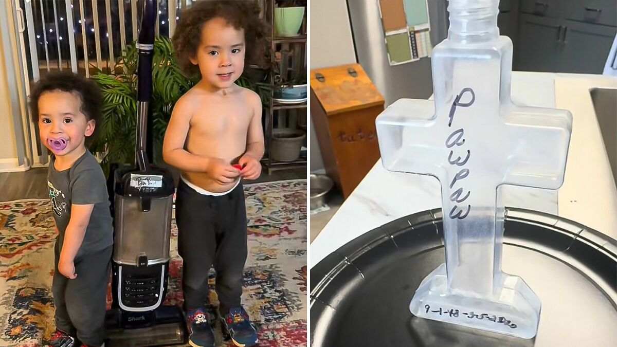 Mom Washes Dirt Out Of Sons’ Mouths And Vacuums It Off Her Floor Only To Learn It Wasn’t Dirt