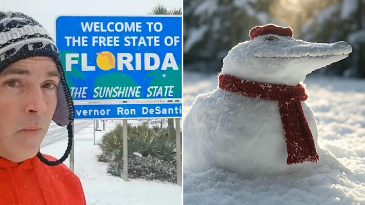 21 Crazy And Hilarious Photos Of Southerners In A Once-In-A-Lifetime Snowstorm