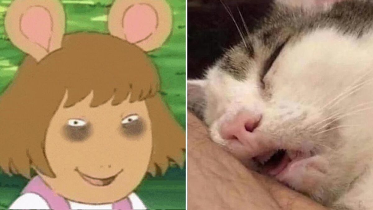 Sleepmaxxing, A Trend Expected To Revolutionize Our Sleep, Is Going Viral On The Internet