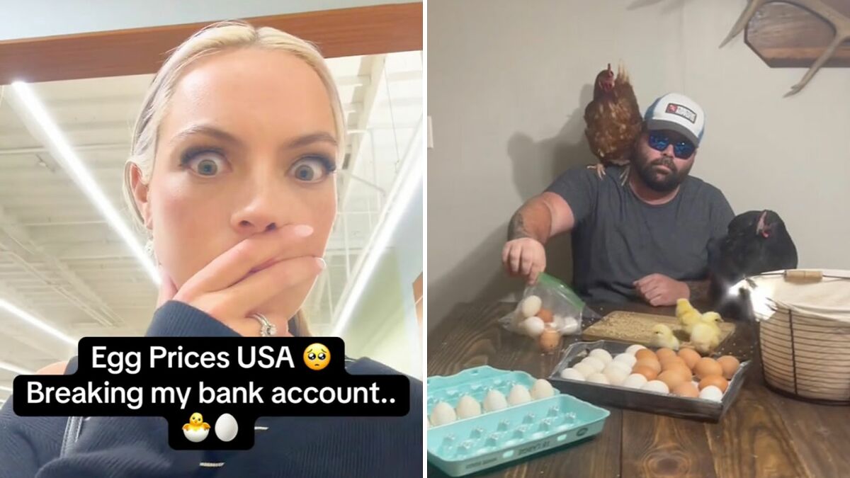 “I Have To Dip Into My Retirement”: Record-High Egg Prices Spark Hilarious Reactions