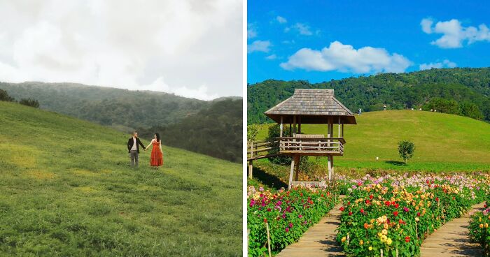 The Florest – Hoa Trong Rung: A Blooming Paradise In Da Lat That I Recommend Visiting (5 Pics)