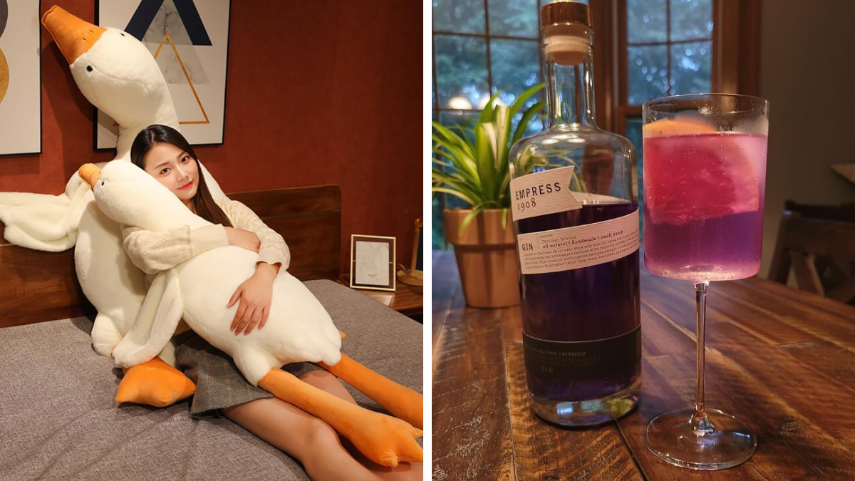 Level Up Your Lazy: 25 Items That’ll Make Doing Nothing Feel Amazing