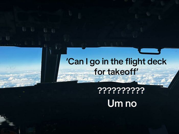 "Babe, We've Just Taken Off": Unhinged Plane Passenger Stories, Shared By This Flight Attendant "Babe, We've Just Taken Off": Unhinged Plane Passenger Stories, Shared By This Flight Attendant