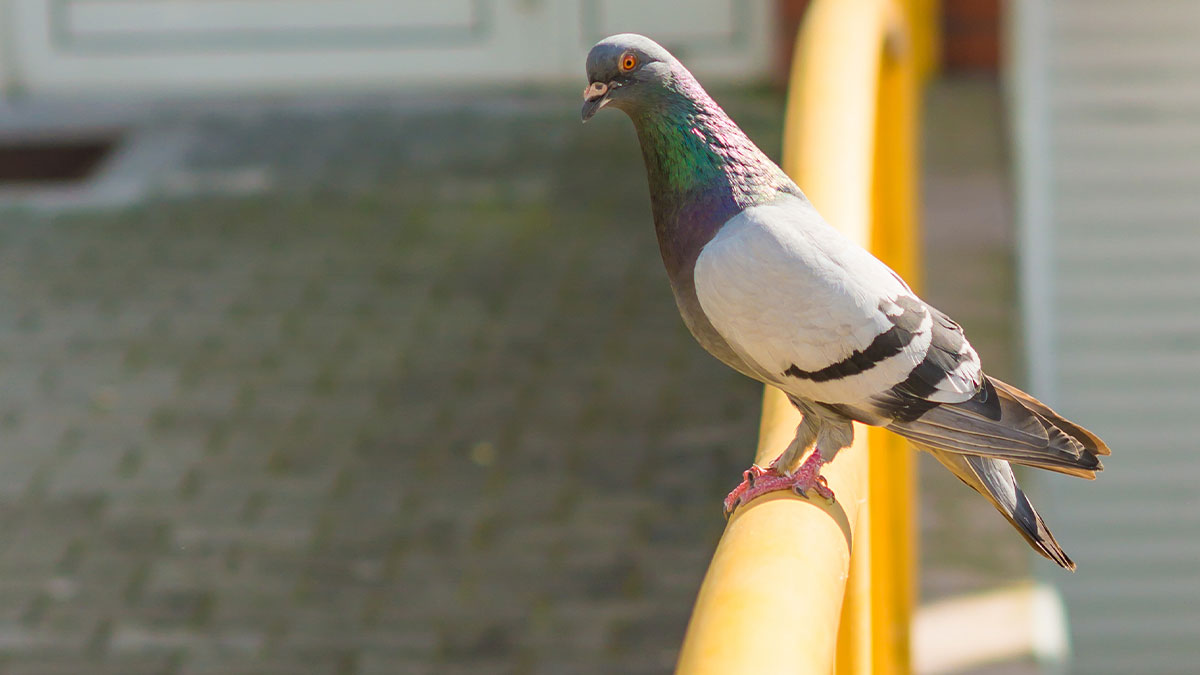 “I Pretend I Don’t Hear It”: 30 People Share The Most Precious Things Their Partners Do