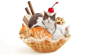 Purr-fectly Delicious: Cats Reimagined As Tasty Dishes By This Artist (20 Pics)