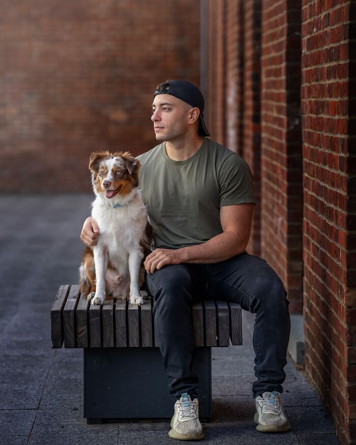 Man sitting with an NYC dog on a bench near a brick wall. Man sitting with an NYC dog on a bench near a brick wall.