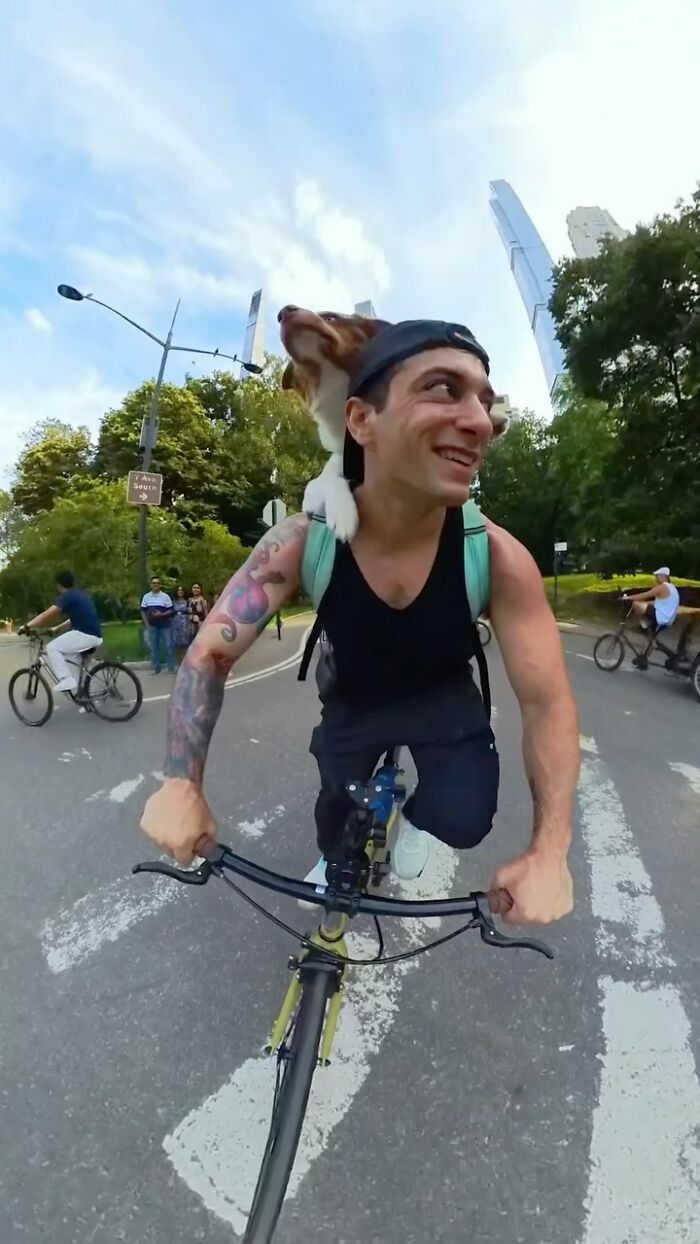 Man biking with a dog on his shoulder in NYC, capturing the playful energy and charm of the city. Man biking with a dog on his shoulder in NYC, capturing the playful energy and charm of the city.
